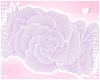 F. Rose Crown Lilac