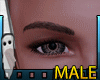 Smaller Real Brows V2 M