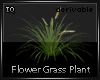 Grass Flower 26