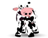 S~n~D Silly Cow!!!
