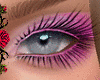 Eyeshadow + Lipstick