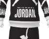 Jordans Fit