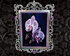 Orchid Framed 5