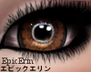 [E]*Big Doe Eyes Brown*