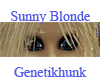 Sunny Blonde Female Brow