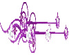 (KK) rbow purple divider
