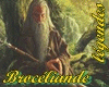 BROCELIANDE ruins