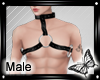 !! Male Harness