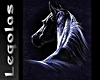 [VL] F/M TSHIRTS HORSE