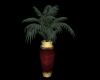 Burgandy Beige Palm