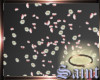 !S! Pink Rose Petals