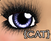 {CAT}Violet Cute Eyes