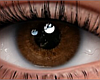 #Eyes Mell v2