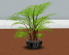 [JS]Leafy Willow Plant 2