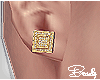 B| Gold Earrings