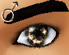 !Reflective eyes brown M