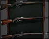 Rifle Rack