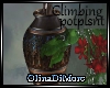 (OD) Climbing potplant