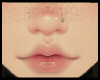 Silver Nostril L