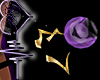 HooDoo Staff