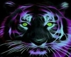 Neon Tiger Couch
