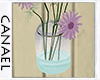 [CNL] Jar of daisies