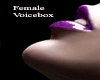 Female Voice Box 3