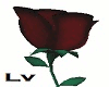 Valentine Hand Rose Left