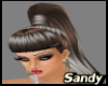(SB) Sandi Exotic Hair