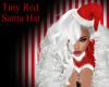 Tiny Red Santa Hat
