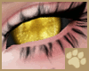 ~AM~ Ira Eyes v1