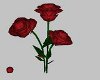 E~Valentine Wine Roses