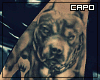 J|Pitbull Ink ♠