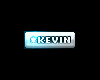 Kevin vip tag