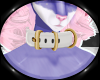 Pet Collar - White/Bronz