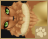 ~AM~ Otono Fur Collar