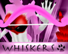Whiskers :Cupid's Bow