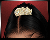 LS~kylie Gold cruchies