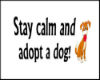 Head Sign Adopt Dogs