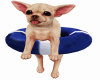 Puppy on a Float