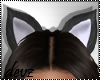 ! Cat ears Kitty