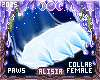 ⟡ Snöw Paws