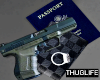 Gun & Passport