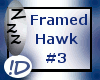 !D Framed Hawk #3