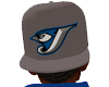 BlueJays fitted