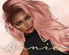 Georginita Rose Pink