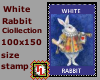 100x150 white rabbit