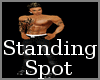 ! Standing Spot
