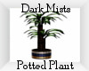 ~DM~ Potted Palm