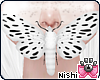 [Nish] Krake Moth